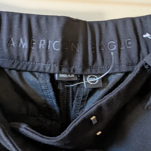 American Eagle Flat Wide Leg Pant - Picture 9 of 14